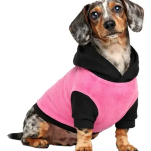 Buzo Simil Piel Capucha Perros Mascotas Salchichas