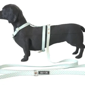 Kit Paseo Talle Small Pretal + Correa + Collar Razas Chicas Color Verde Soft Talle Del Arnés S