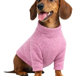 Sweatter Buzo Abrigo Talle Especial Salchicha 2 Perro
