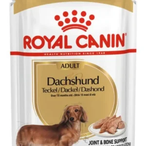 Alimento Royal Canin Breed Health Nutrition Dachshund para perro adulto de raza mini sabor mix de 85 g