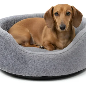 Moises Para Perro O Gato Lola Pets Islandia Chico