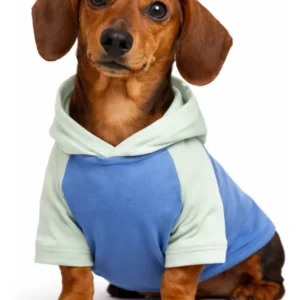 Buzo Abrigo Liviano Perro Mascota Salchicha Gato