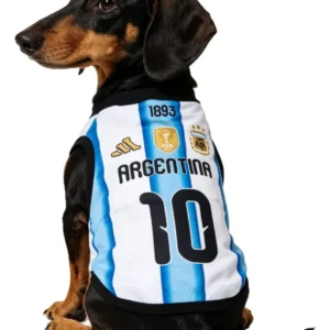 Camiseta Selección Argentina Abrigo Perro Mediano Talle 6