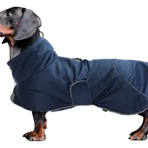 Campera Impermeable Para Perro Salchicha Azul Con Forro