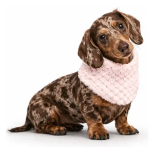 Cuellito Abrigo Mascotas Perro Gatos