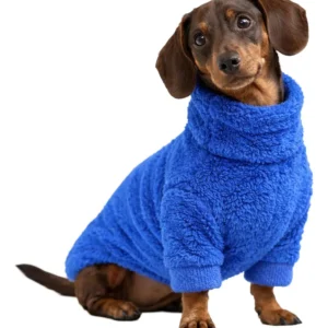 Poleron Corderito Perros Mascotas Salchichas