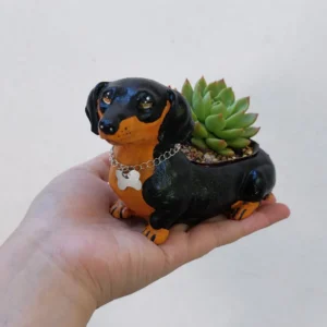 Maceta Mini Perro Salchicha