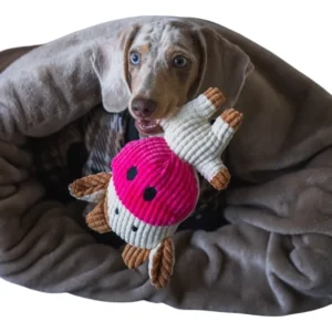 Bolsa Cama Cucha Cueva Para Gatos Perros Pequeños Salchicha