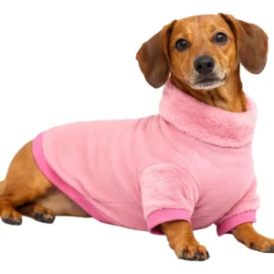 Buzo Abrigo Talle Especial De Salchicha 1 Dachshund Perros
