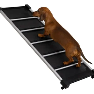 Rampa De Aluminio Perros Gatos Negra Ploppy Pets 100411 Negro