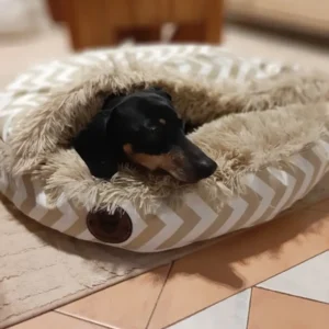 Cama Cucha Cueva Chica Para Mascotas Perro Antiestrès