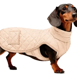 Capas Camperas Chalecos Abrigos Ropa Para Perros Austral