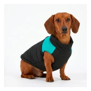 Ropa Para Perros Campera Abrigo Puffer Colores Premium M Celeste